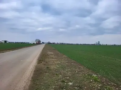 Teren de vanzare cumparare cu drum in Moara Vlăsiei Ilfov